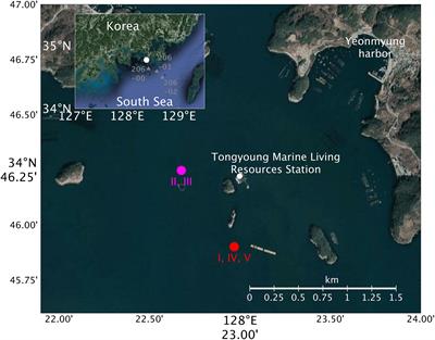 Coastal Observation Using a Vertical Profiling System at the Southern Coast of Korea